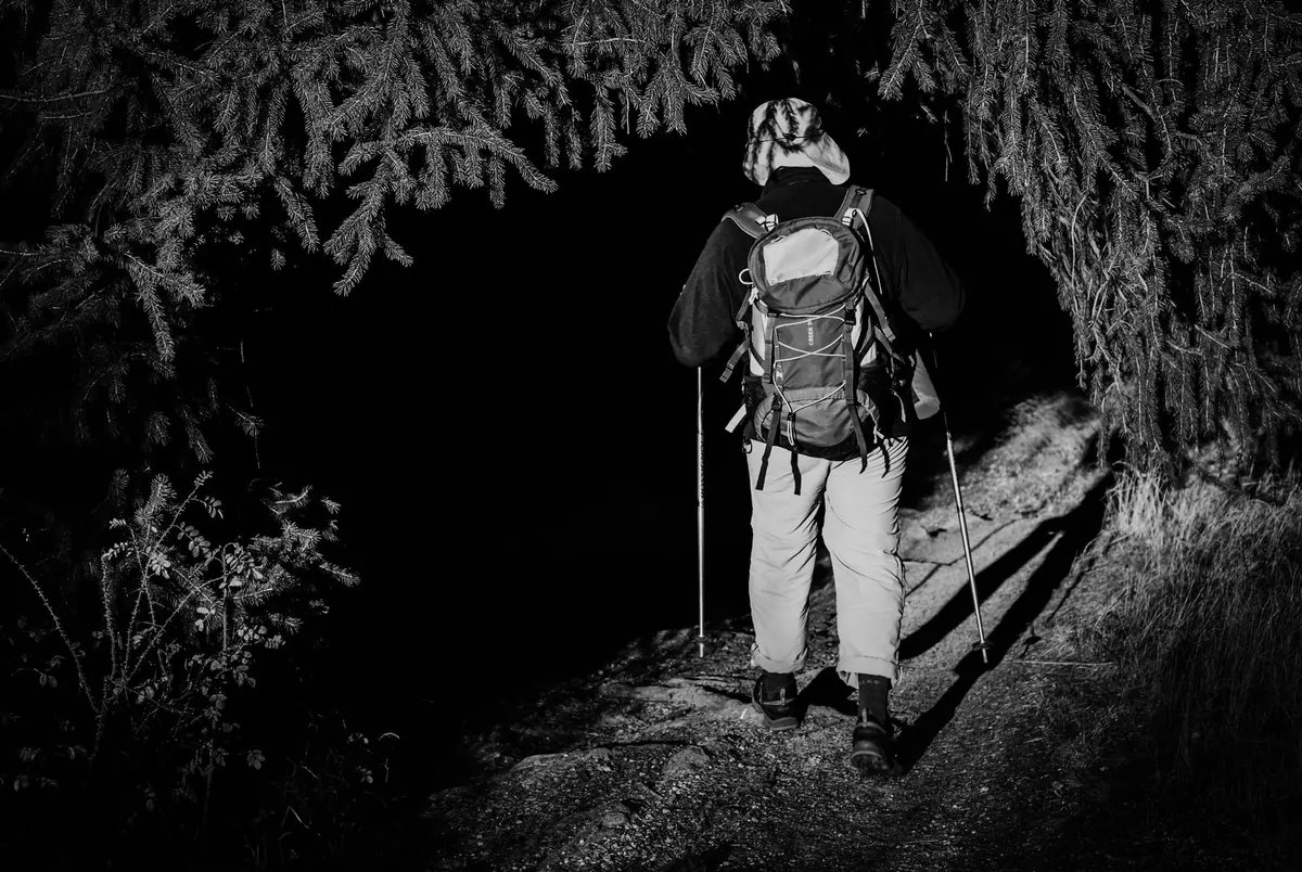 Beginner's Guide to Badger Watching in the UK